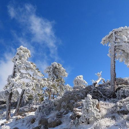 Villa Forastera Arroyo Frio Exteriér fotografie