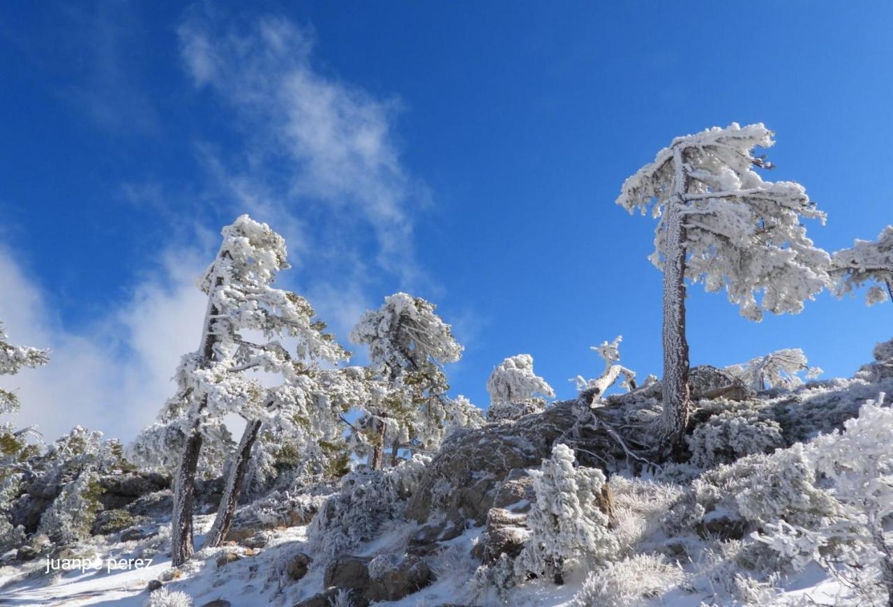 Villa Forastera Arroyo Frio Exteriér fotografie