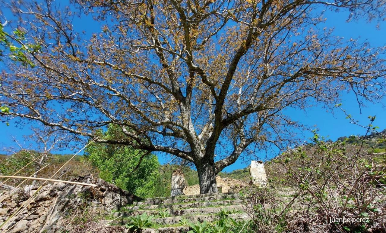 Villa Forastera Arroyo Frio Exteriér fotografie